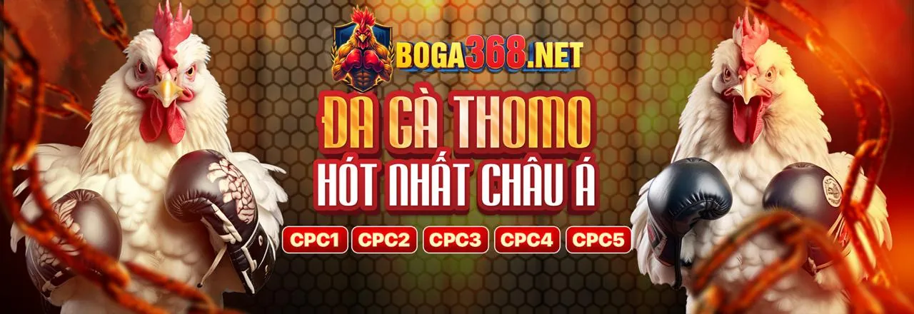 Hoàn trả cược thể thao hàng tuần SP88