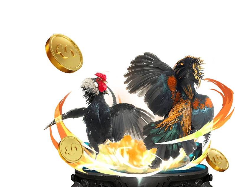 Luật chơi đá gà SP88